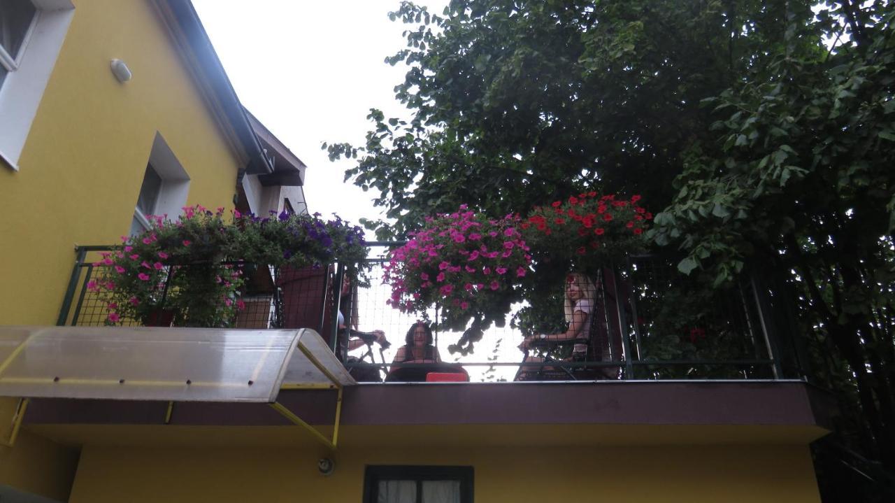 Guest House Pavlovic 索科矿泉村 外观 照片