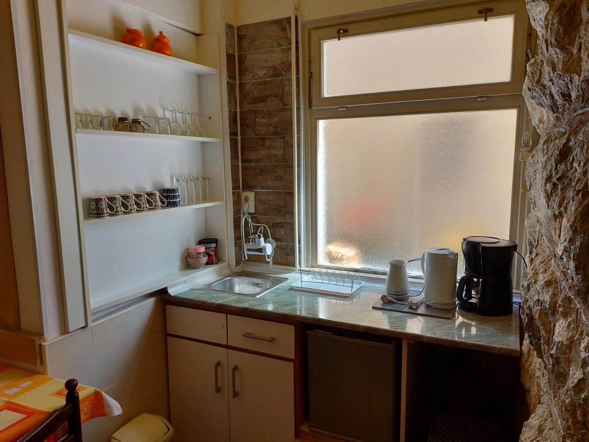 Guest House Pavlovic 索科矿泉村 外观 照片