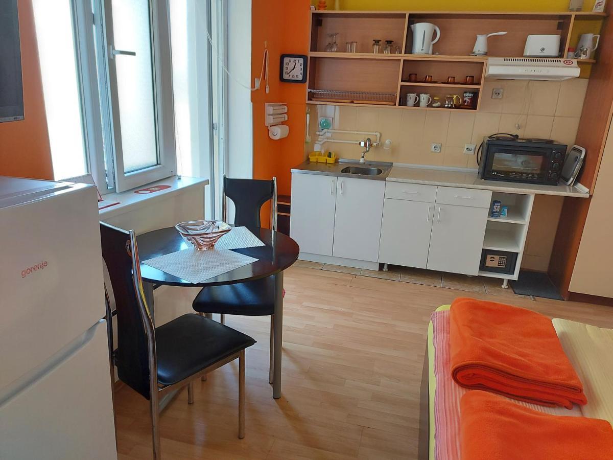 Guest House Pavlovic 索科矿泉村 外观 照片