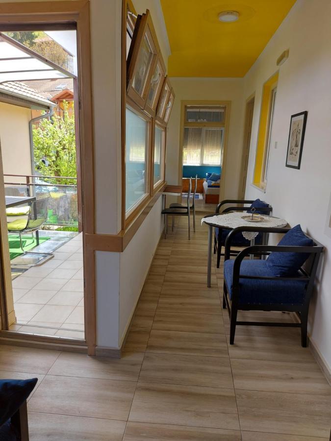 Guest House Pavlovic 索科矿泉村 外观 照片