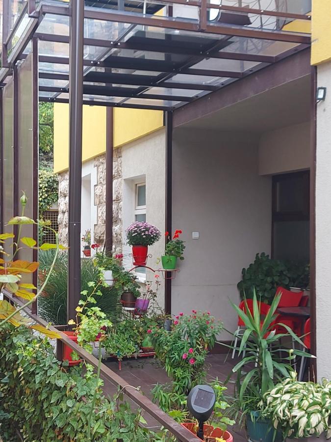 Guest House Pavlovic 索科矿泉村 外观 照片