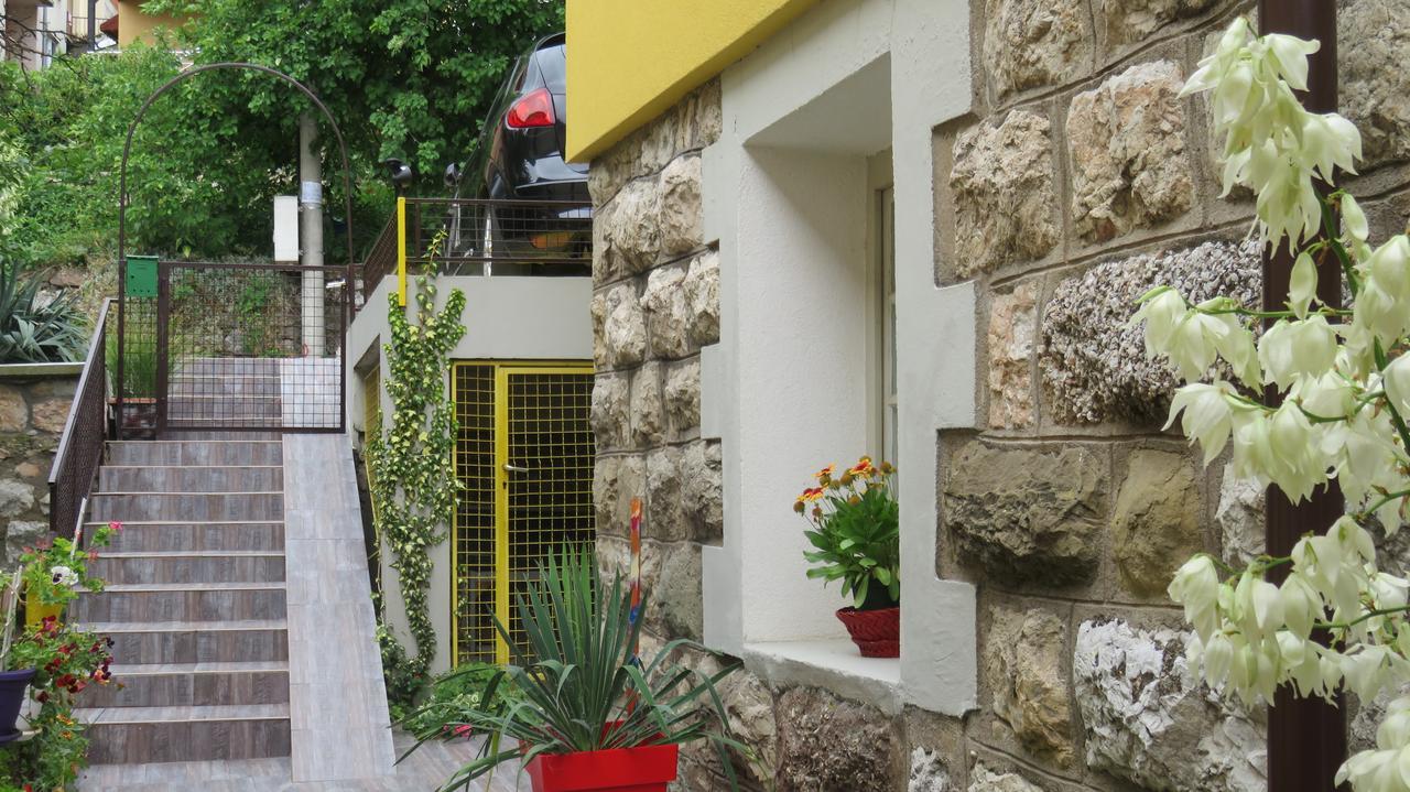 Guest House Pavlovic 索科矿泉村 外观 照片