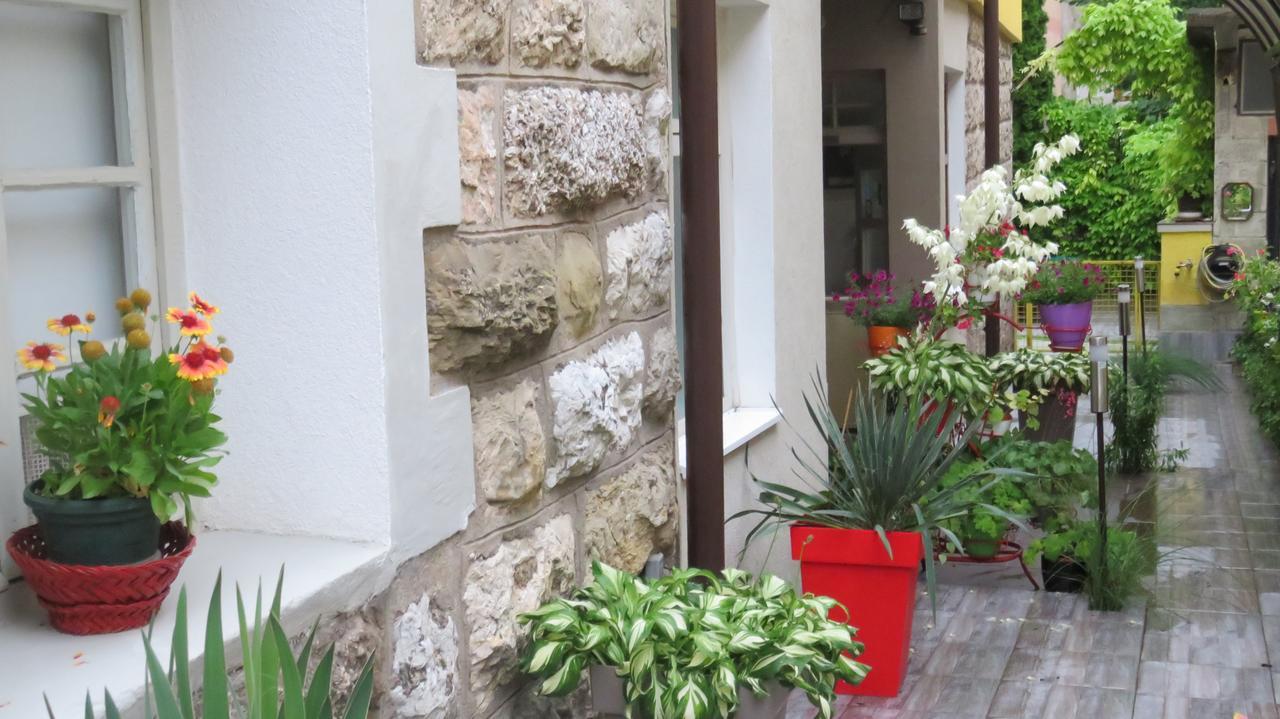 Guest House Pavlovic 索科矿泉村 外观 照片