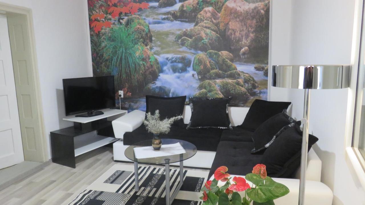 Guest House Pavlovic 索科矿泉村 外观 照片